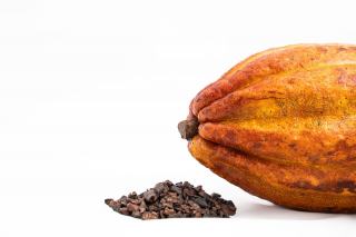 Du champ ivoirien à la tablette, comment la flambée du cacao arrive en rayon